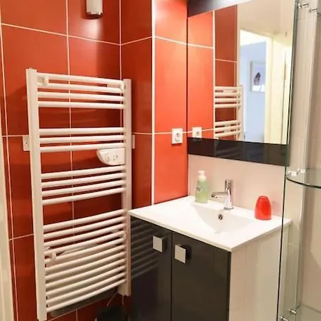 Nid Douillet Classe 2 Etoiles Depuis Janvier 2023 Apartment Le Mont-Dore