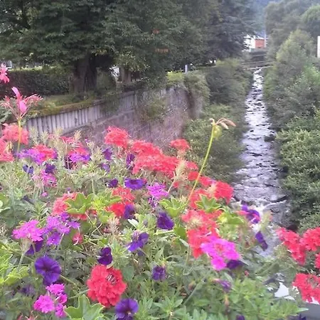 Apartment Nid Douillet Classe 2 Etoiles Depuis Janvier 2023 Le Mont-Dore